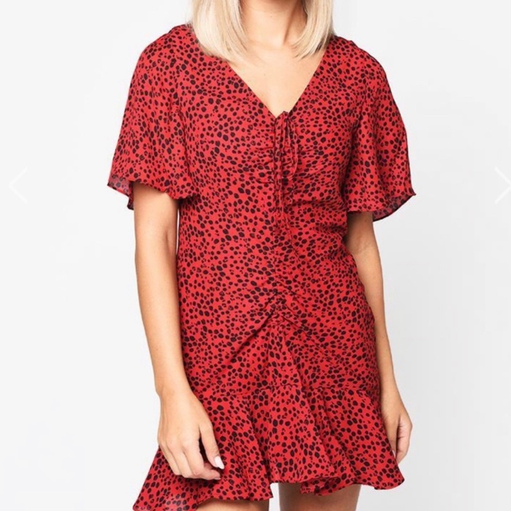 BB Dakota Animal Print Dress